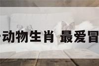 冒险打一动物生肖 最爱冒险的生肖