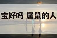属鼠生老鼠宝宝好吗 属鼠的人生鼠宝宝好不好