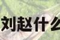 赵刘名字女孩 刘赵什么的名字有哪些