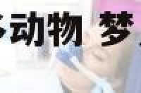 做梦水塘里有很多动物 梦见水塘里有很多鱼是什么意思?
