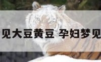 孕妇梦见大豆黄豆 孕妇梦见黄豆子