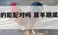 属羊和属鼠的能配对吗 属羊跟属鼠的人合得来吗