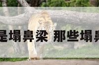 哪个明星是塌鼻梁 那些塌鼻梁的明星