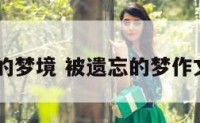 被遗忘的梦境 被遗忘的梦作文600字