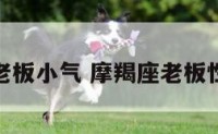 摩羯座老板小气 摩羯座老板性格特点