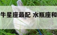 水瓶座和金牛星座最配 水瓶座和金牛座的匹配程度