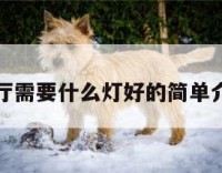 客厅需要什么灯好的简单介绍