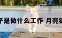 月亮狮子是做什么工作 月亮狮子是啥