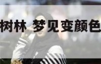 梦见变颜色的树林 梦见变颜色的树林什么预兆