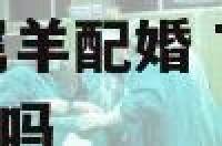 77年属蛇79属羊配婚 77年属蛇和79年的羊能长久吗