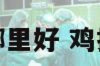 鸡摆件放在家里哪里好 鸡摆件可以放卧室吗