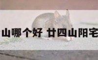 阳宅二四山哪个好 廿四山阳宅风水布局