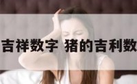 猪人的吉祥数字 猪的吉利数字是几