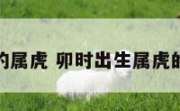 卯时出生的属虎 卯时出生属虎的男孩命运