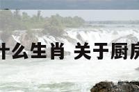厨房拿刀猜什么生肖 关于厨房用刀的讲解