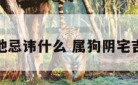 属狗墓地忌讳什么 属狗阴宅吉凶方位