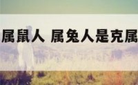 属兔人是克属鼠人 属兔人是克属鼠人还是属兔