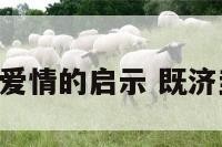 既济卦爱情的启示 既济卦 爱情