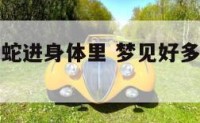 梦见好些小蛇进身体里 梦见好多小蛇往我身上钻