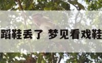 梦见舞蹈鞋丢了 梦见看戏鞋子丢了