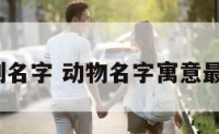 动物吉利名字 动物名字寓意最好的是?