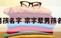 宗后面男孩名字 宗字辈男孩名字2020