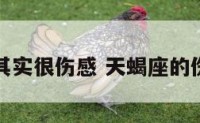 天蝎座其实很伤感 天蝎座的伤感说说