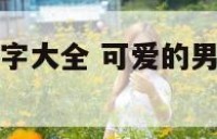 可爱的男孩名字大全 可爱的男孩名字大全两个字