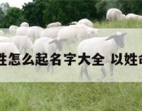 以姓怎么起名字大全 以姓命名