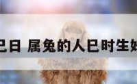 属兔已日 属兔的人巳时生好不好