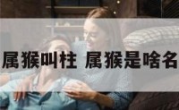 属猴叫柱 属猴是啥名