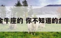 火影金牛座的 你不知道的金牛座
