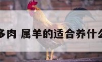 属羊适合多肉 属羊的适合养什么多肉植物