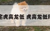 阳宅虎高龙低 虎高龙低风水