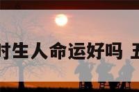 属羊丑时生人命运好吗 丑时的羊