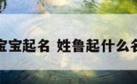 姓鲁宝宝起名 姓鲁起什么名字好