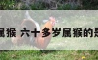 六十多岁属猴 六十多岁属猴的是哪一年的