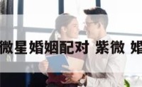 紫微星婚姻配对 紫微 婚姻