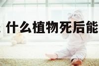 什么植物至死 什么植物死后能为自然做出贡献