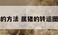 属猪转运的方法 属猪的转运图片大全集