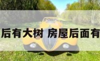 阳宅风水屋后有大树 房屋后面有大树的吉凶