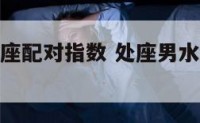 水瓶和处女座配对指数 处座男水瓶女能长久吗
