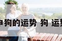 申狗的运势 狗 运势