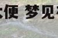梦到环境很脏有大便 梦见在特别脏的地方拉屎