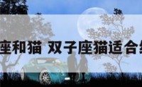 双子座和猫 双子座猫适合结婚?