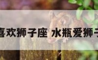水瓶喜欢狮子座 水瓶爱狮子女吗