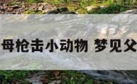 梦见父母枪击小动物 梦见父母枪毙