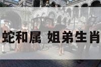 姐弟属蛇和属 姐弟生肖蛇和鸡