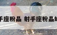 射手座粉晶 射手座粉晶蜗牛