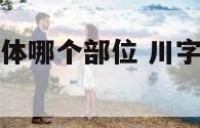 川字纹对应身体哪个部位 川字纹对应的是哪个器官